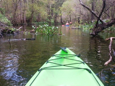 Paddling Hillsborough River