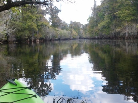 Paddling Hillsborough River