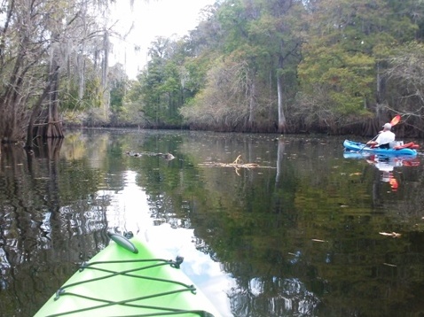 Paddling Hillsborough River