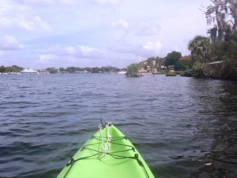 paddle Homosassa Springs, Homosassa River, kayak, canoe