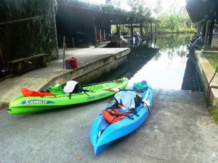 Paddling Homosassa River, kayak, canoe