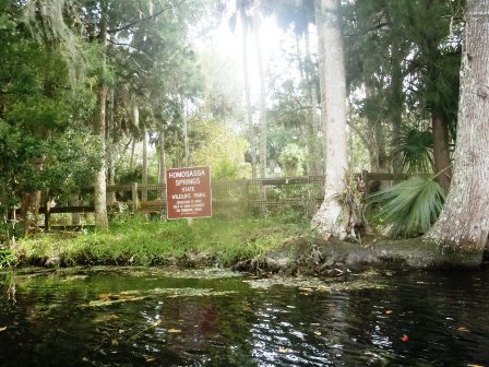 Paddling Homosassa River, kayak, canoe