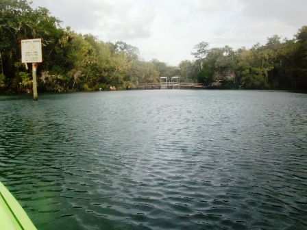 Paddling Homosassa River, kayak, canoe