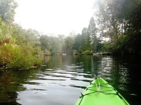 Paddling Homosassa River, kayak, canoe