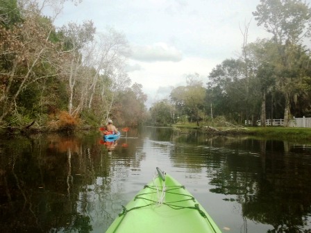 Paddling Homosassa River, kayak, canoe