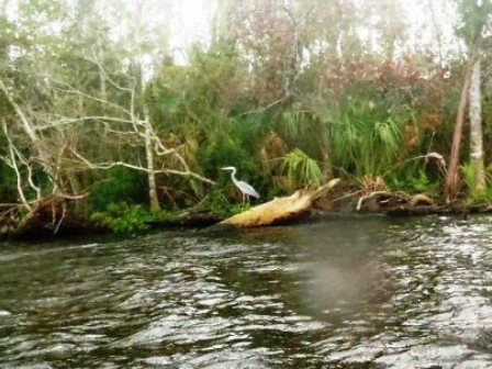 Fort Desoto Park