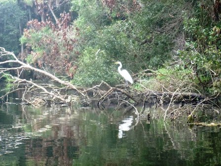 Fort Desoto Park