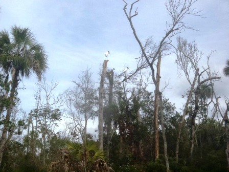 Fort Desoto Park