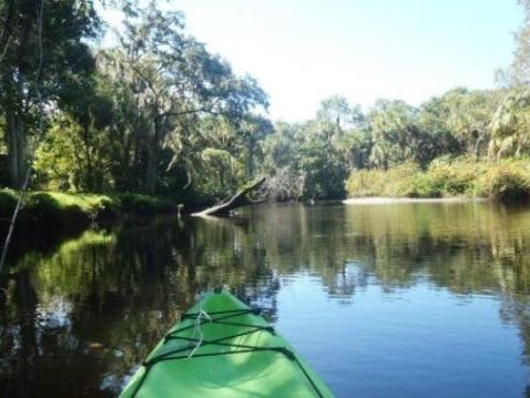 paddling Little Manatee River, kayak, canoe