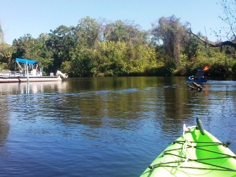 paddling Little Manatee River, kayak, canoe