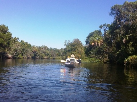 paddling Little Manatee River, kayak, canoe