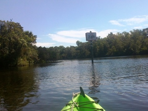 paddling Little Manatee River, kayak, canoe