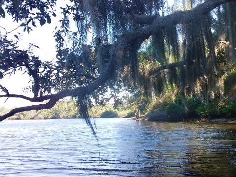 paddling Little Manatee River, kayak, canoe