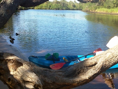 paddling Little Manatee River, kayak, canoe