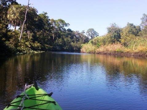 paddling Little Manatee River, kayak, canoe