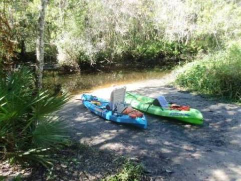 paddling Little Manatee River, kayak, canoe