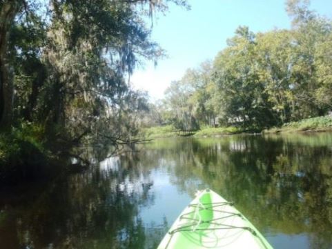 paddling Little Manatee River, kayak, canoe