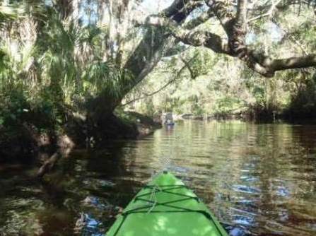 paddling Little Manatee River, kayak, canoe