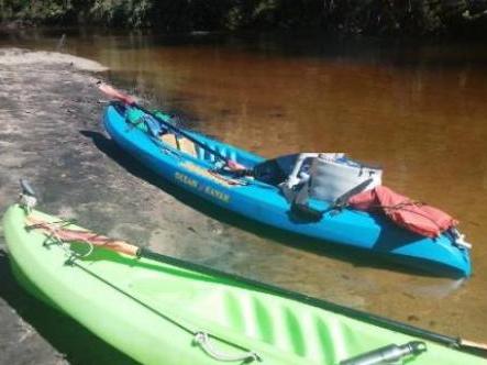 paddling Little Manatee River, kayak, canoe