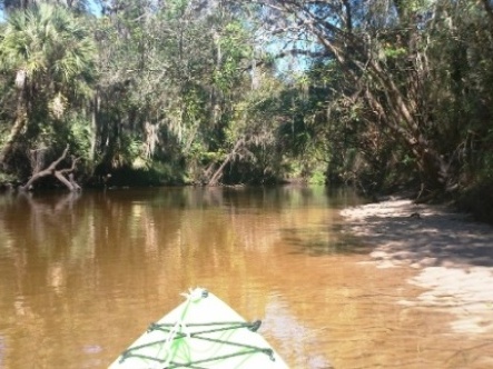 paddling Little Manatee River, kayak, canoe