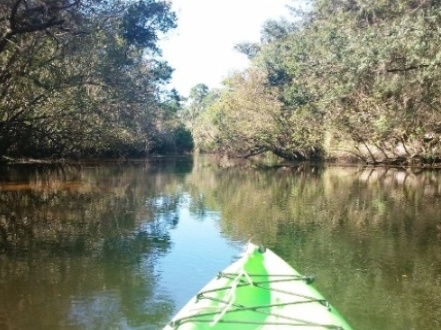 paddling Little Manatee River, kayak, canoe