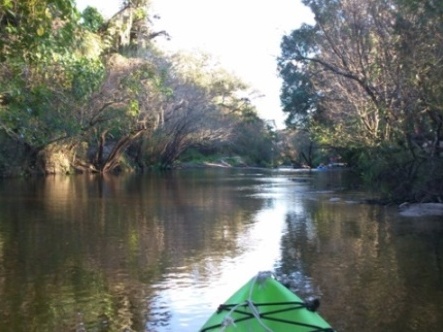 paddling Little Manatee River, kayak, canoe