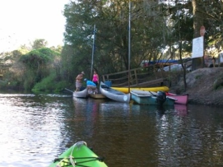 paddling Little Manatee River, kayak, canoe