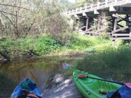 paddling Little Manatee River, kayak, canoe