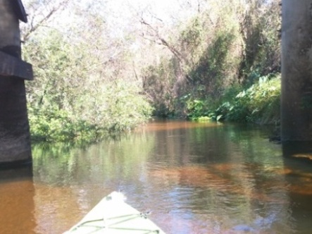 paddling Little Manatee River, kayak, canoe