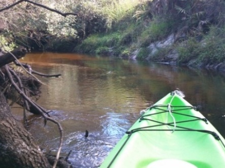 paddling Little Manatee River, kayak, canoe