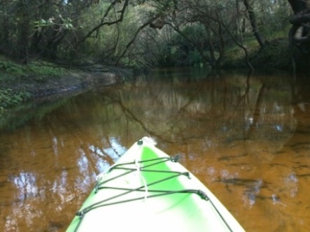 paddling Little Manatee River, kayak, canoe