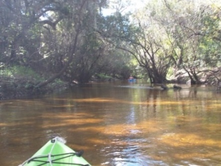 paddling Little Manatee River, kayak, canoe