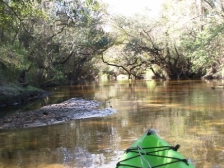 paddling Little Manatee River, kayak, canoe