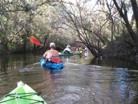 paddling Little Manatee River, kayak, canoe