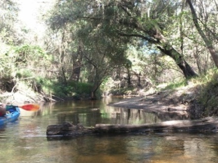 paddling Little Manatee River, kayak, canoe