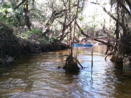 paddling Little Manatee River, kayak, canoe