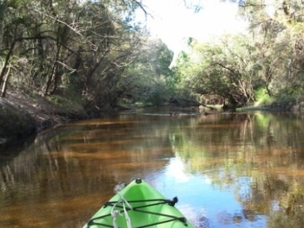 paddling Little Manatee River, kayak, canoe