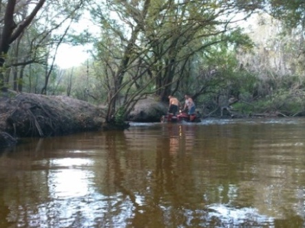 paddling Little Manatee River, kayak, canoe