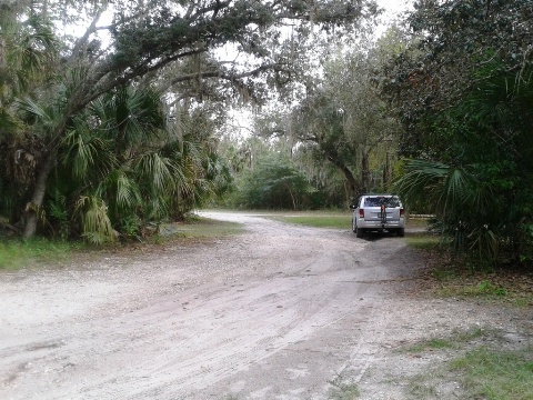 paddling Little Manatee River