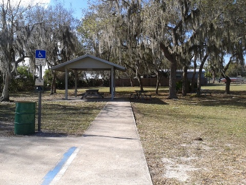 paddling Little Manatee River