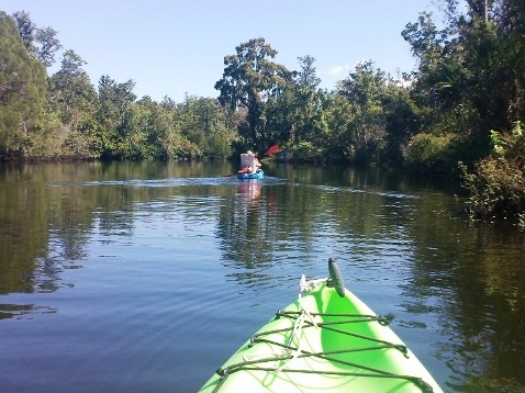 paddling Little Manatee River, kayak, canoe