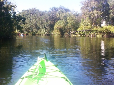 paddling Little Manatee River, kayak, canoe