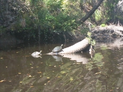 Florida Panhandle, Chipola River launches