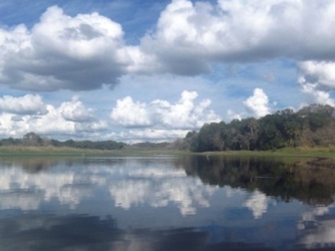 Paddle West-Central Florida, Myakka River, Kayak, Canoe