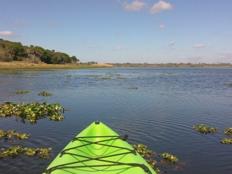 Paddle Myakka River