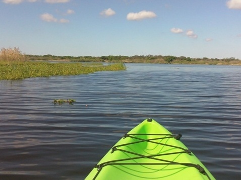 Paddle Myakka River