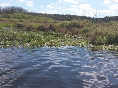 Paddle Myakka River