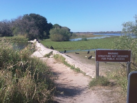 Paddle Myakka River