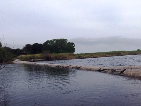 Paddle Myakka River