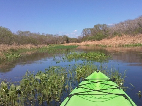 Paddle Myakka River